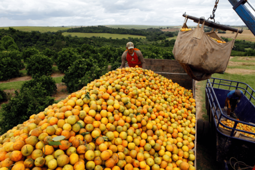 Exportações de suco de laranja do Brasil sobem 3,24%